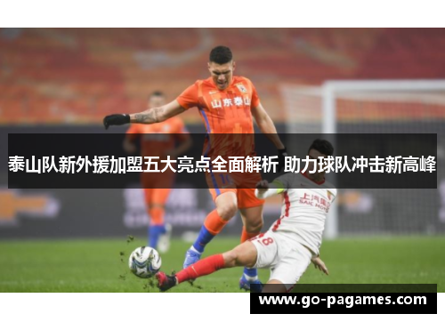 泰山队新外援加盟五大亮点全面解析 助力球队冲击新高峰