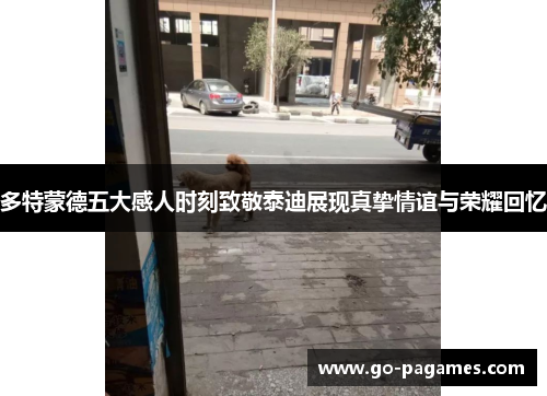 多特蒙德五大感人时刻致敬泰迪展现真挚情谊与荣耀回忆