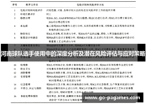 河南球队选手使用中的深度分析及潜在风险评估与应对策略