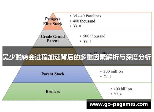 吴少聪转会进程加速背后的多重因素解析与深度分析