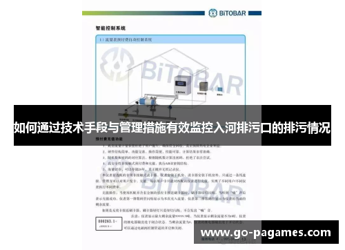 如何通过技术手段与管理措施有效监控入河排污口的排污情况