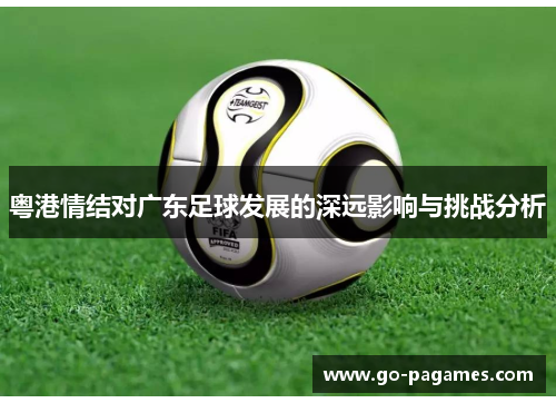 粤港情结对广东足球发展的深远影响与挑战分析