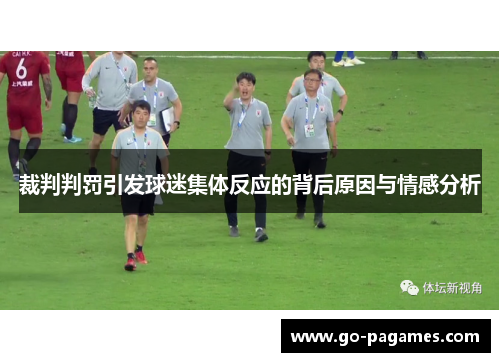 裁判判罚引发球迷集体反应的背后原因与情感分析
