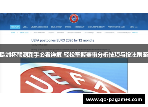欧洲杯预测新手必看详解 轻松掌握赛事分析技巧与投注策略