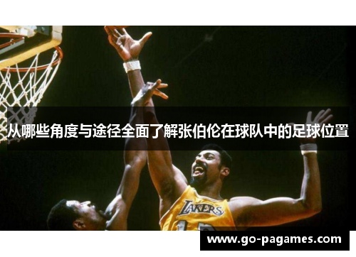 从哪些角度与途径全面了解张伯伦在球队中的足球位置