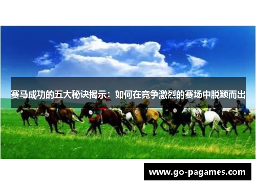 赛马成功的五大秘诀揭示：如何在竞争激烈的赛场中脱颖而出