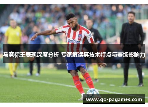 马竞标王表现深度分析 专家解读其技术特点与赛场影响力